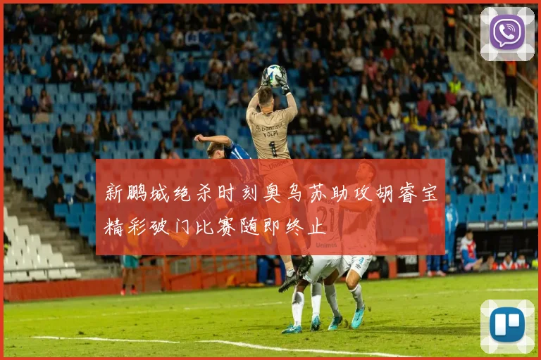 新鹏城绝杀时刻奥乌苏助攻胡睿宝精彩破门比赛随即终止